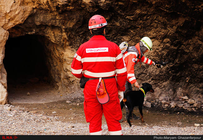 مانور سگ های آنست در اصفهان