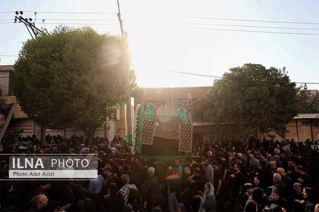 مراسم کهن نخل گردانی تفرش در عصر عاشورا