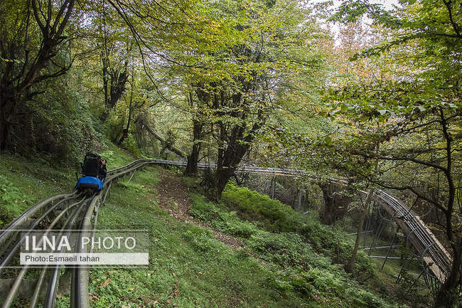 چشم انداز جنگل و دریا در قاب طبیعت