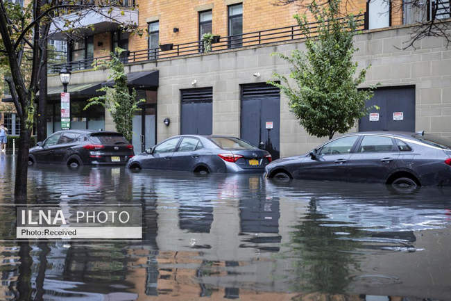 سیل در نیویورک