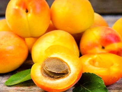 نکات مهم در نگهداری و خرید زردآلو