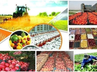 امنیت غذایی مسئله درجه نخست کشور است 