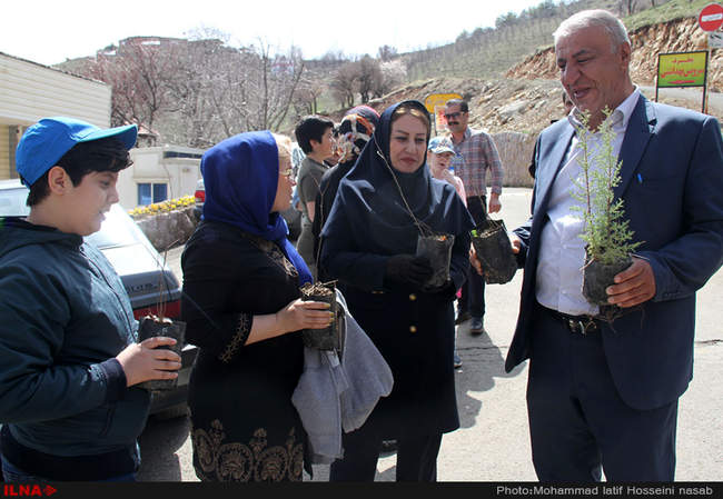 نهال کاری در دامنه کوه آبیدر سنندج 