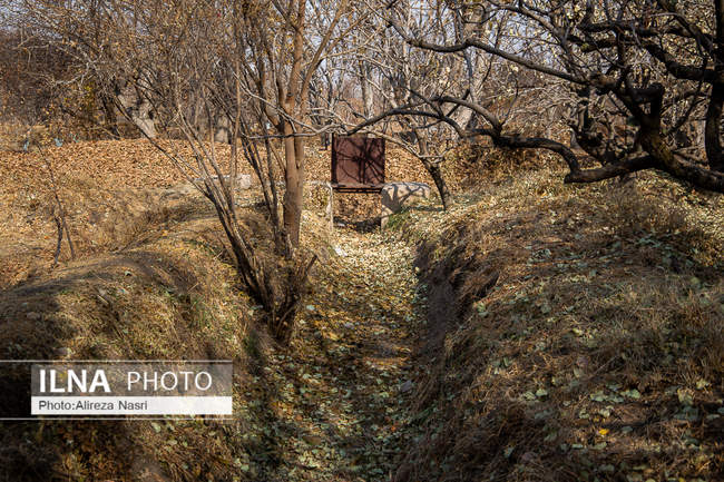 باغستان سنتی؛ میراث کهن مردم قزوین 