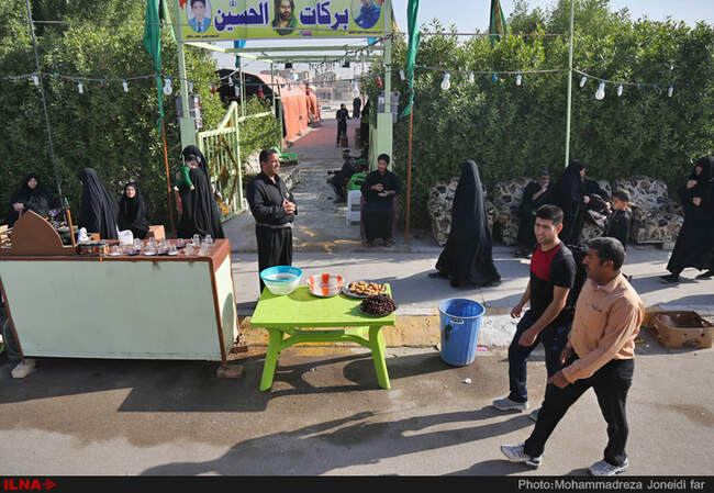 راهپیمایی زائران اربعین حسینی از نجف تا کربلا/2