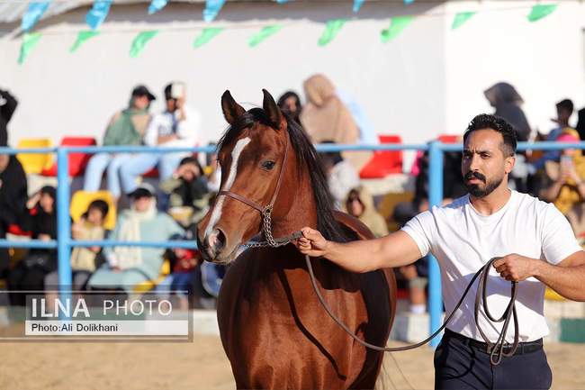 سومین جشنواره زیبایی و شوسواره استان هرمزگان