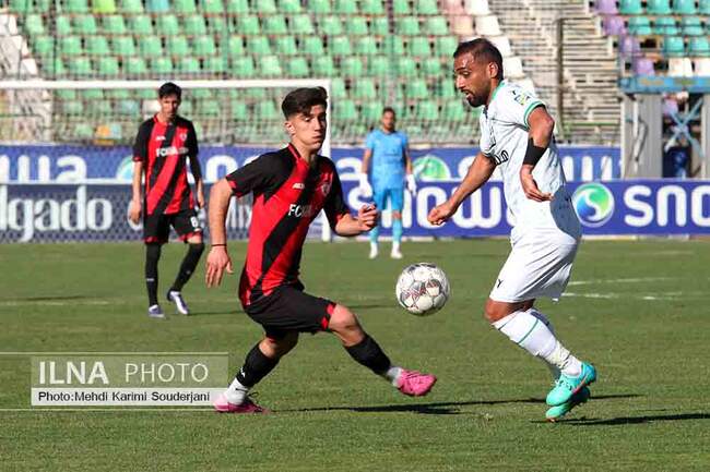 IMG_1038 copy
