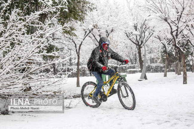 بارش برف در تهران