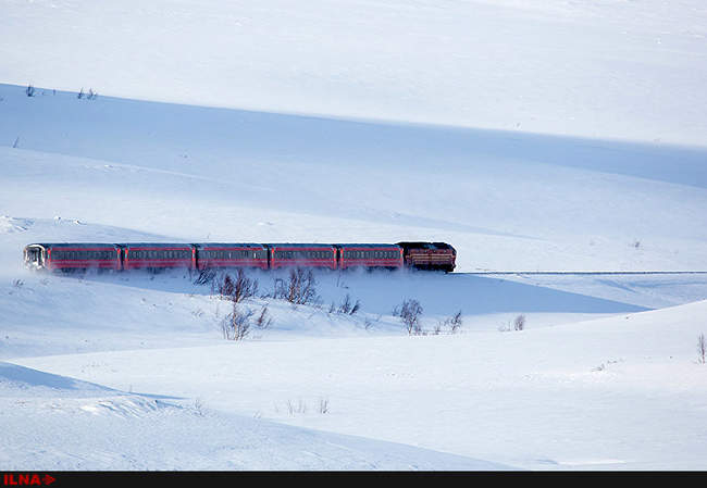 طبیعت استکهلم در نیمه شب