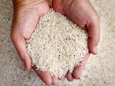 شپشک برنج چیست و چگونه می توان آنها را از بین برد؟