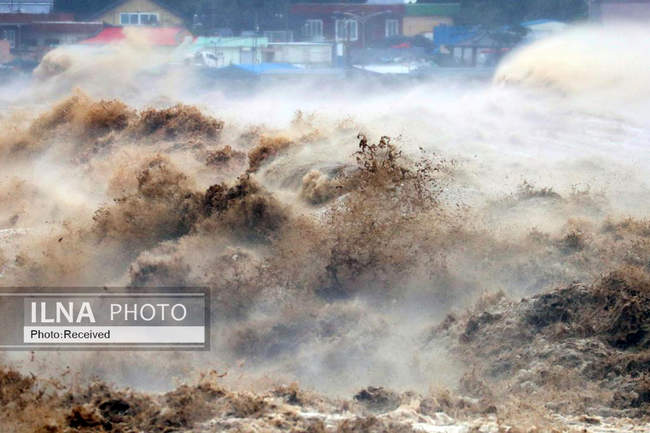 طوفان هینامنور در کره جنوبی 