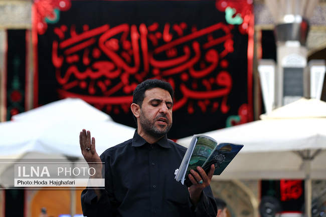 زائران حضرت امیرالمومنین علیه السلام 