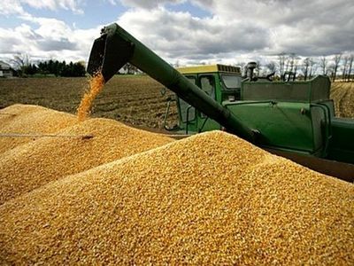 افزایش 75 درصدی خرید تضمینی گندم در استان مرکزی 