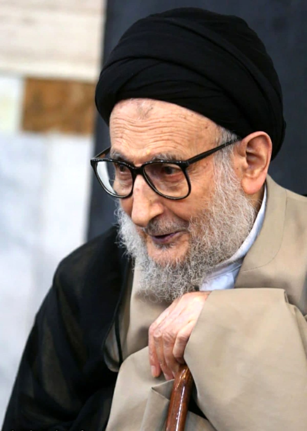 آیت‌الله ضیاء‎آبادی درگذشت