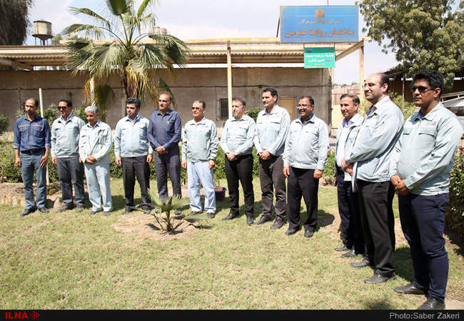 مراسم هفته درختکاری در شرکت فولاد هرمزگان با حضور مهندس ارزانی و همک