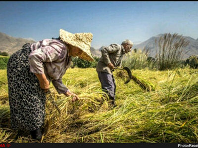 مشوق‌های بیمه‌ای برای بیمه‌شدگان در نظر گرفته شد