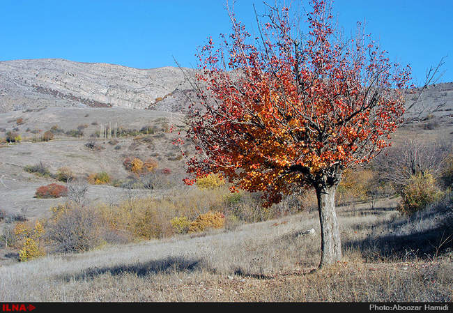 طبیعت پاییزی جاده دیلمان گیلان