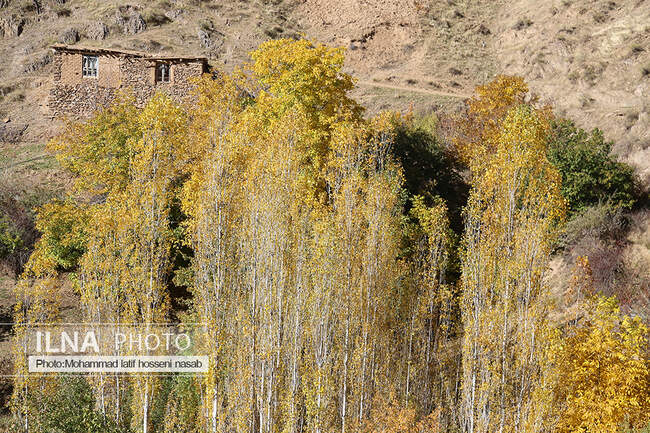 پاییز هزار رنگ کردستان 