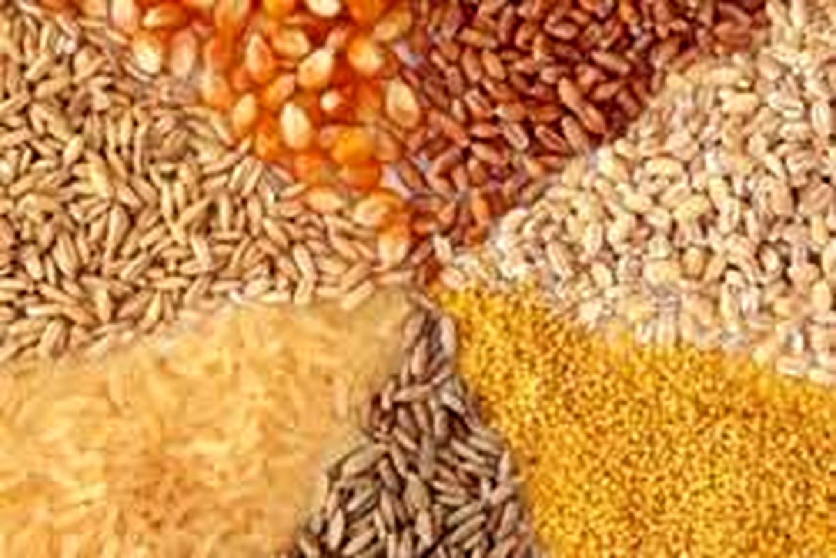 تشکیل ۲۰ پرونده تخلف برای شرکت های تأمین کننده نهاده های دامی در گیلان 