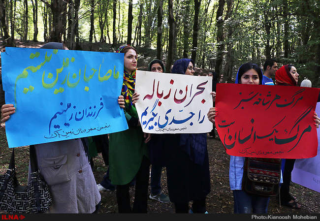 سفر معصومه ابتکار به استان مازندران به مناسبت روز حفاظت از جنگل ها