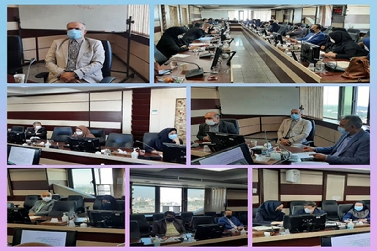 سومین نشست کارگروه تخصصی سلامت روان در سال ۱۴۰۰ برگزار شد