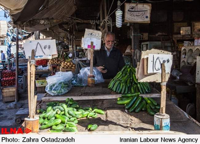 میادین میوه و تربار استان قم در استقبال از عید غدیر