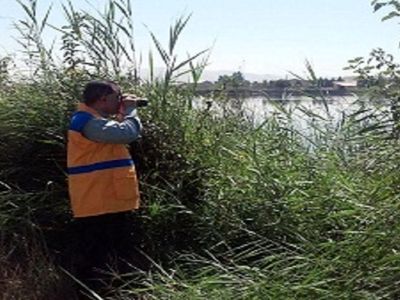 کاهش قابل توجه پرندگان مهاجر در استان کرمانشاه