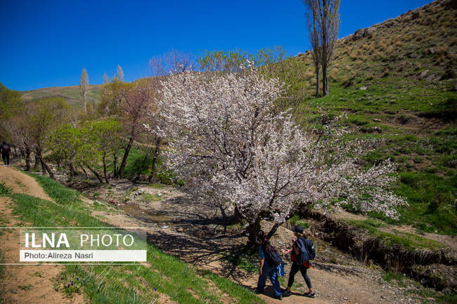 آبشار کهنه باغستان قزوین