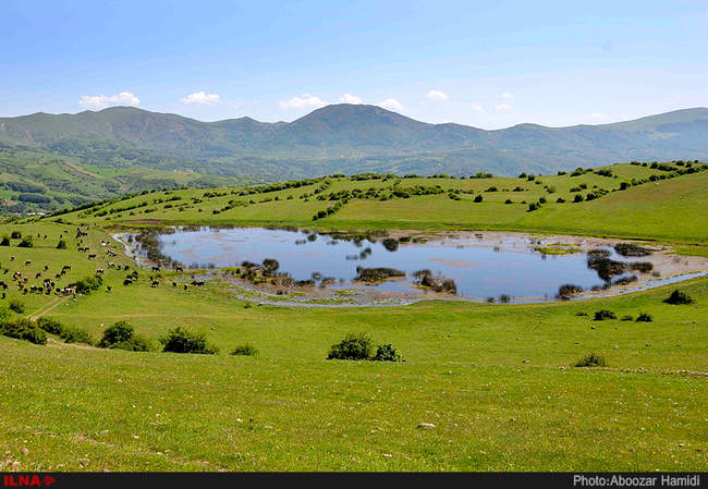 طبیعت بهاری رودبار گیلان