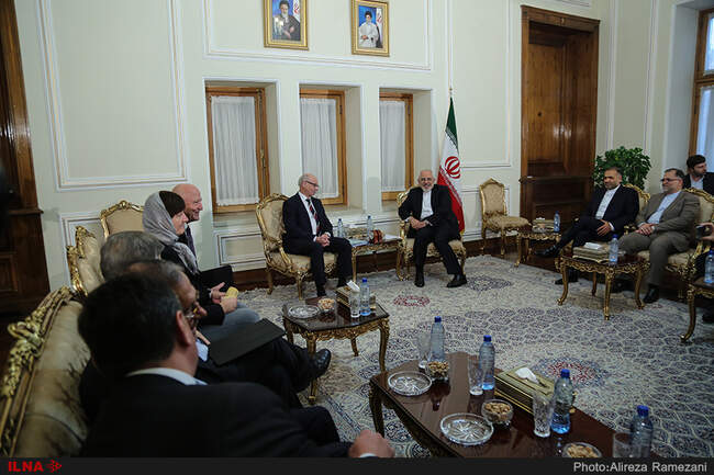 دیدار رئیس گروه دوستی ایران و پارلمان اروپا با محمد جواد ظریف