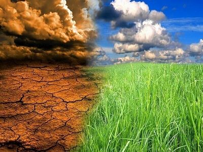 هشدار وقوع خشکسالی در 25 هزار هکتار از اراضی کشاورزی مازندران