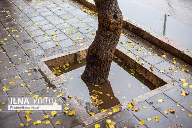 بارش اولین باران پاییزی در قزوین