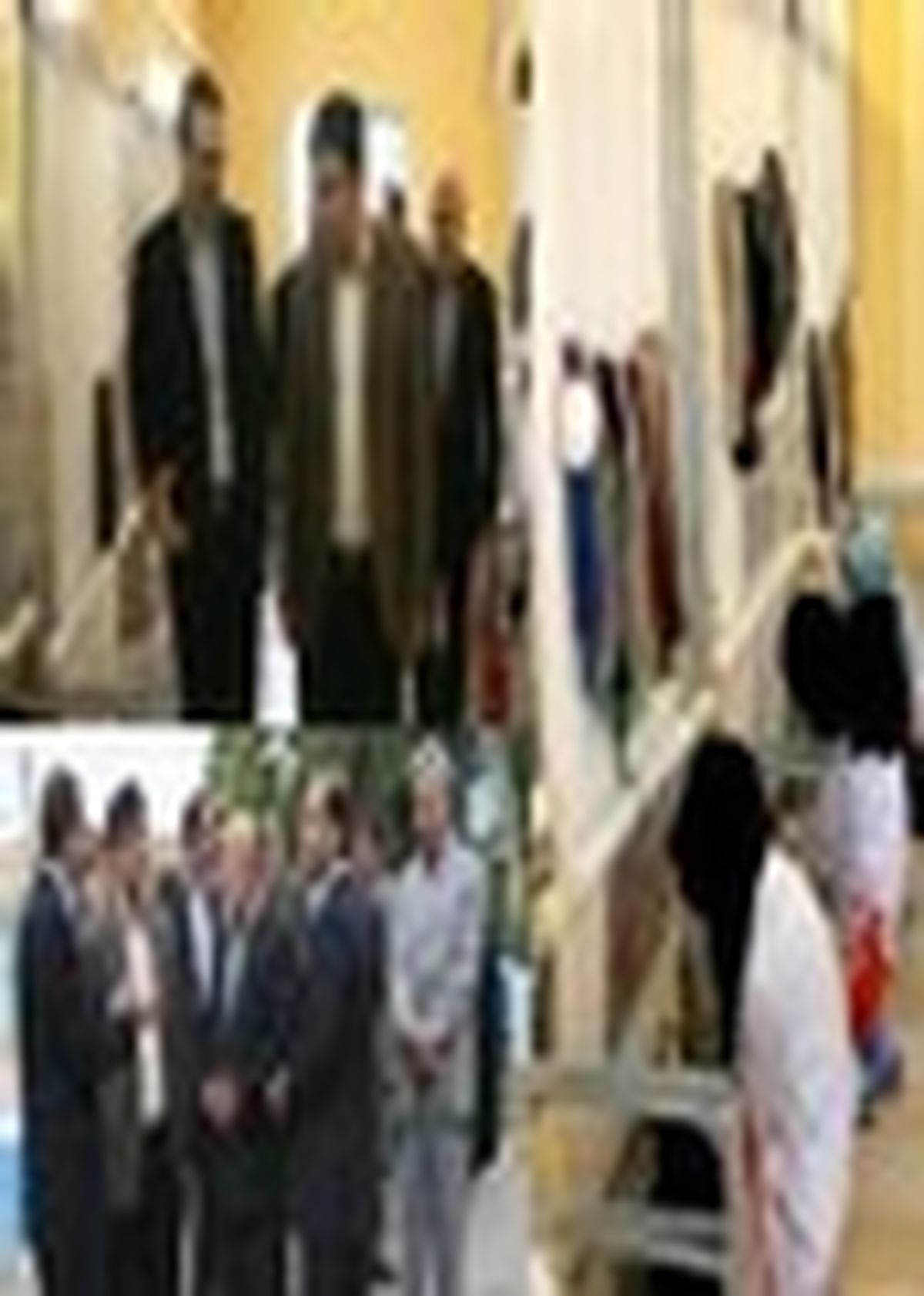 ایلام پتانسیل تبدیل شدن به قطب تولید فرش دستبافت را دارد
