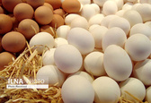 آخرین قیمت تخم مرغ در میادین میوه و تره‌بار + جدول قیمت