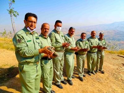 بازگشت ۳۰۰ گونه مختلف جانوری به زیستگاه‌های طبیعی استان کردستان