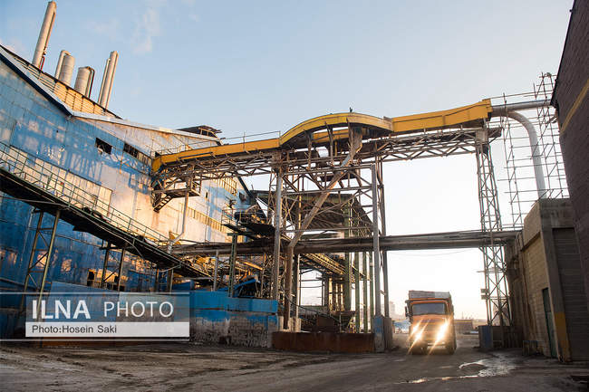 تولید شکر از چغندر قند 