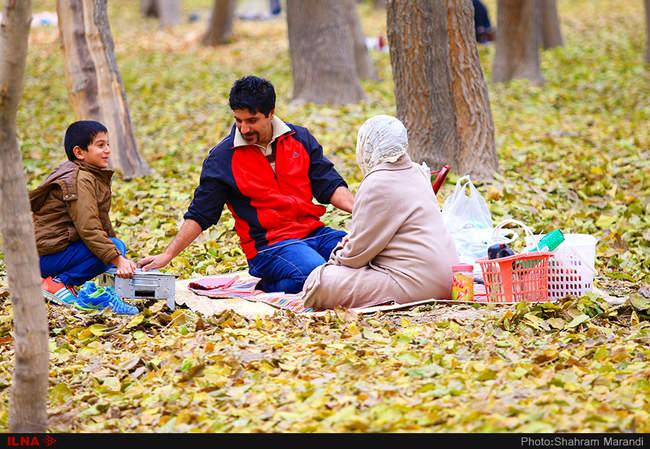 برگ ریزان پاییز اصفهان
