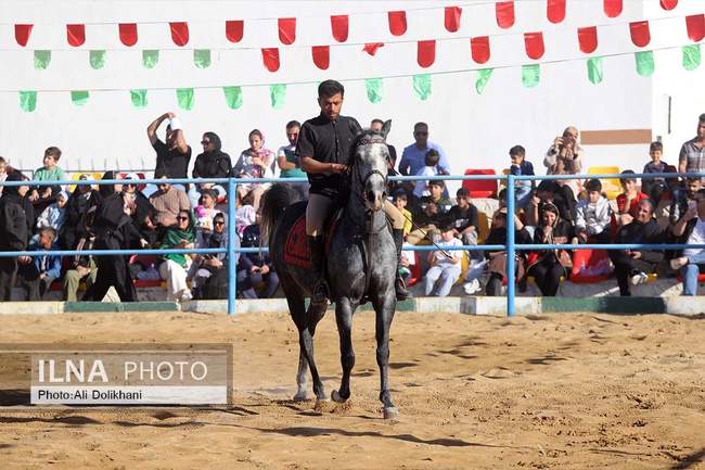 سومین جشنواره زیبایی و شوسواره استان هرمزگان