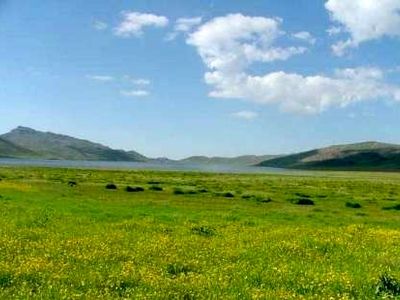 ابلاغ طرح توسعه شبکه نظارت بر اجرای طرح‌های مرتعداری با 4080 ناظر