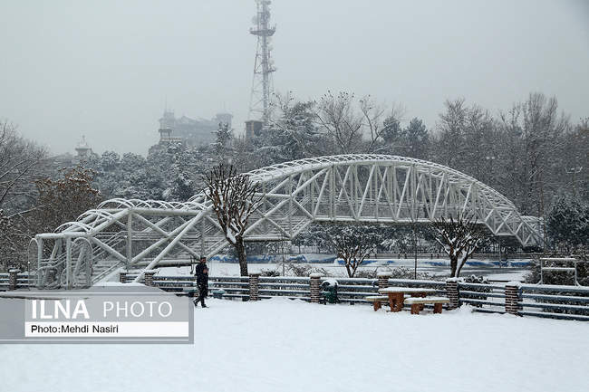 پارک ملت در یک روز برفی