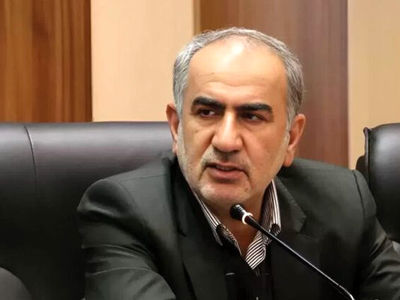 بانک توسعه تعاون عملکرد قابل دفاعی دارد اما نیازمند حمایت جدی دولت است