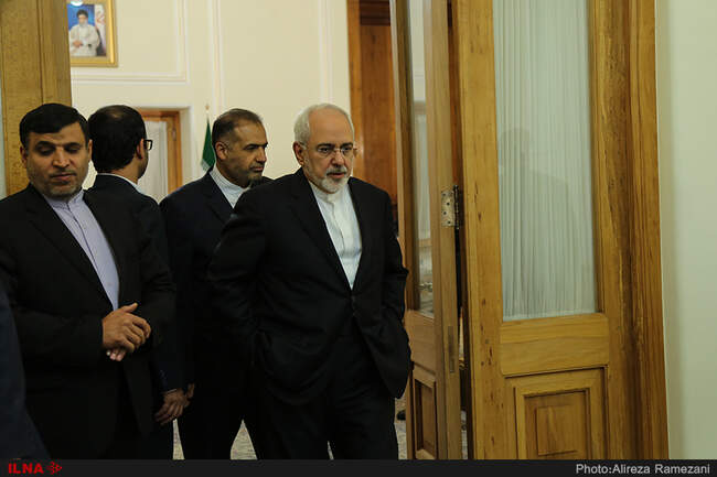 دیدار رئیس گروه دوستی ایران و پارلمان اروپا با محمد جواد ظریف