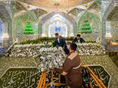 گل‌آرایی ضریح امیرالمومنین(ع) به‌مناسبت ولادت حضرت زینب(س) +فیلم