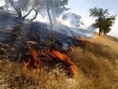 آتش سوزی کوه گِردَکی باغملک مهار شد