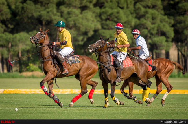 رقابتهای سه گانه چوگان هفته دولت ۱۳۹۵-کانون چوگان/قصرفیروزه