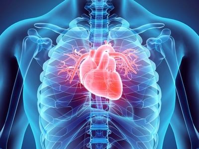 شناسایی خطر حمله قلبی و شکستگی استخوان در افراد مسن تنها با یک اسکن استخوان