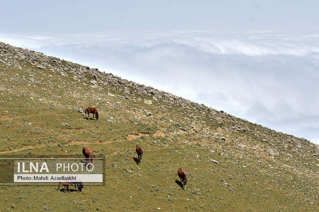 ییلاقات ماسال، بام ابری گیلان	