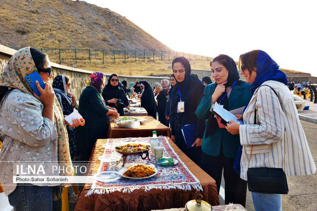 جشن پیامبر مهربانی در قزوین به روایت تصویر 