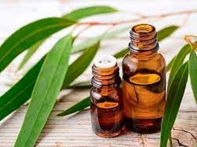 خطرات اسانس ضدسرماخوردگی برای کودکان