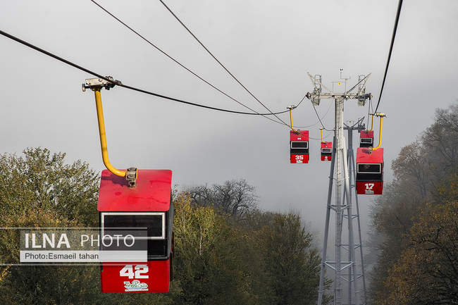 چشم انداز جنگل و دریا در قاب طبیعت